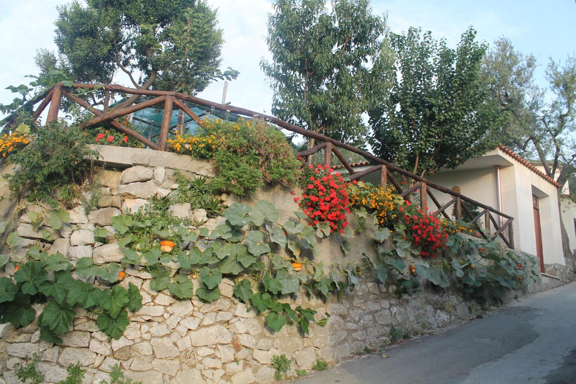 Casa Vacanze Chery 소렌토 외부 사진